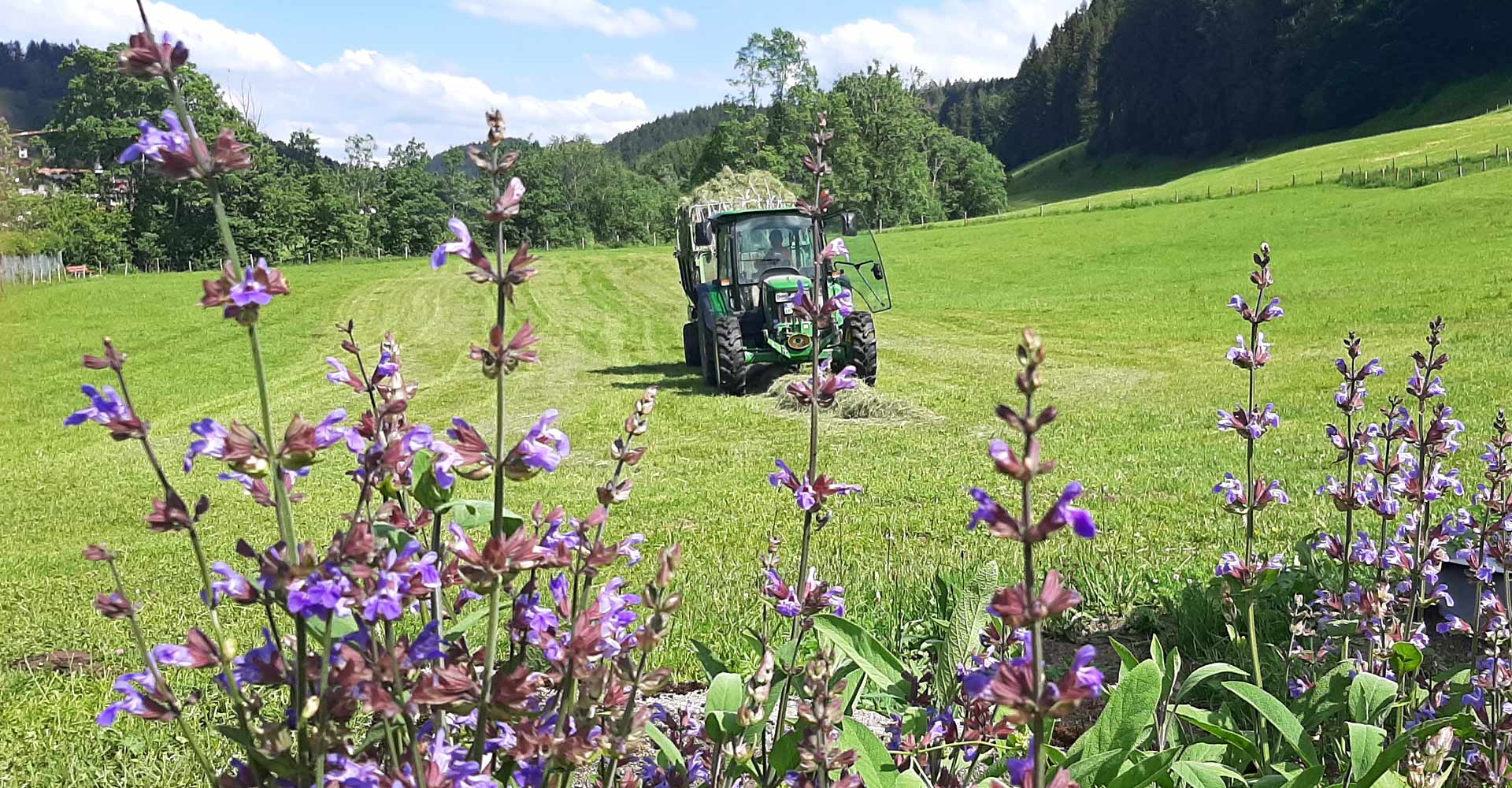Traktor fahren und Heu einfahren