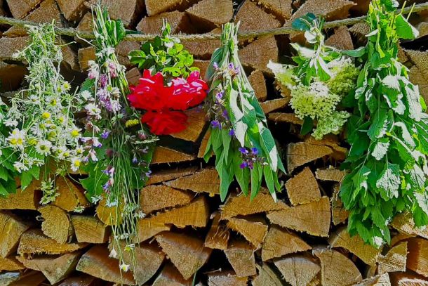 Blumen und Kräuter