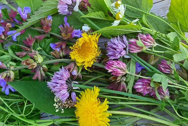 Blumen und Kräuter